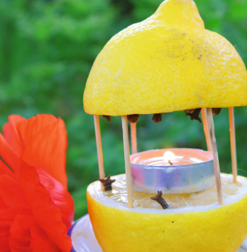  Odiem netīkami citrusu dekori.