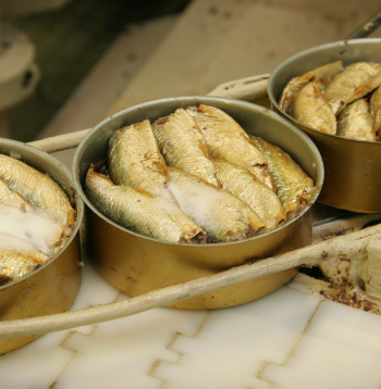 Zivju konservi. Ilustratīvs attēls.