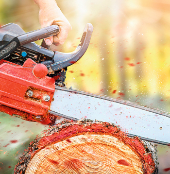 Zāģis, koksne. Ilustratīvs attēls. 