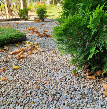 Kapos ieteicams izmantot smalkas, līdz 5 mm frakcijas šķembas, tās kopt ar grābekli ir visvieglāk.