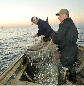 Ilustratīvs attēls.