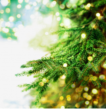 Ziemassvētku laiks.