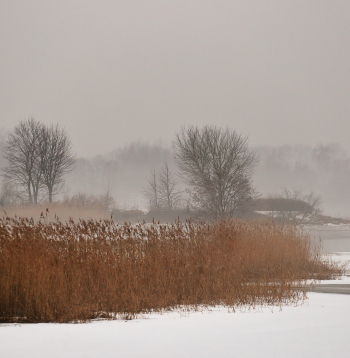 Ziema, migla, atkusnis.