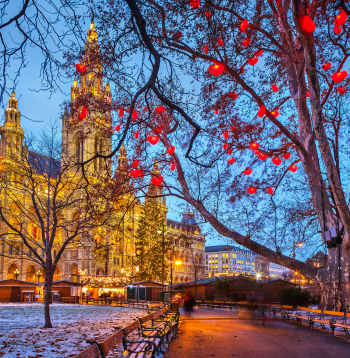 Vīnes Ziemassvētku klasikā iekļaujas arī tā sauktais sirds koks, kas pārliecinoši iemirdzas parkā pretim Rātslaukumam un ko rotā dažāda izmēra sarkanas sirdis.