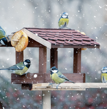 Ilustratīvs attēls.