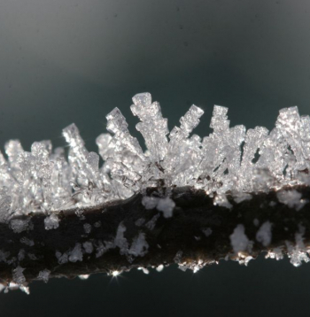 Sals. Ilustratīvs attēls. 