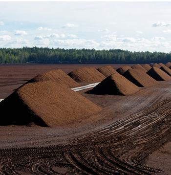 Kūdras lauks. Ilustratīvs attēls.