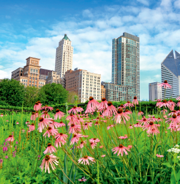 Lurija dārzs Tūkstošgades parkā Čikāgā.