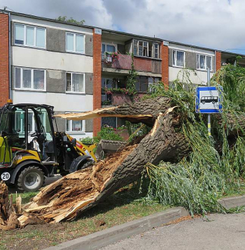 Bauskā vētra lielākos postījumus nodarījusi Sporta ielā, pilskalnā un Karpa parkā, kur daudz nolauztu lielu koku.