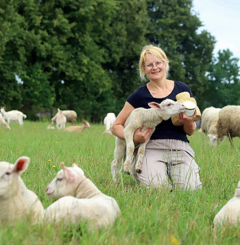 "Viss sākās ar diviem jēriņiem – Ansīti un Grietiņu. Tā kā aitas piena produkti izrādījās pieprasīti, man bija klikšķis, proti, ka ir jāiet tālāk un jāveido lielāks ganāmpulks, kurā būtu vismaz kādas 150 aitas," saka lielā aitu ganāmpulka saimniece Iluta Straģe.