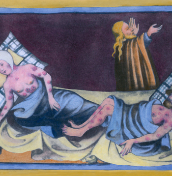 Barības nepietiekamība Eiropā bija sajūtama līdz pat 1325. gadam, tas izraisīja vispārēju imūnsistēmas pavājināšanos un neizbēgami pārvērtās dažādās epidēmijās – pelagra, kseroftalmija, bet naturālās bakas, kas pēc ilgstošas klusēšanas "pamodās" 12. gadsimta beigās, savu maksimumu sasniedza neilgi pirms mēra atnākšanas.
