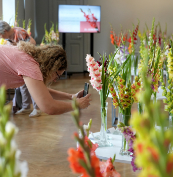 Izstāde "Gladiolas 2024" Latvijas Dabas muzejā.