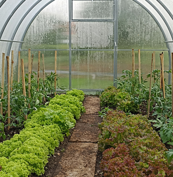 Siltumnīcā izmantoti permakultūras principi.