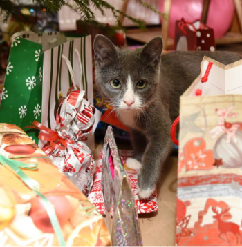 Ilustratīvs attēls.