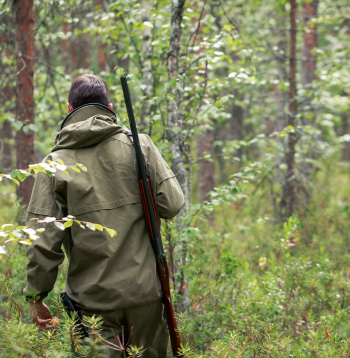 Latvijas valsts mežu atbildīgās amatpersonas medniekiem piedāvā medību tiesību nomas līgumus, kas medniekiem nav pieņemami un neliecina par vēlmi sadarboties ilgtermiņā. Ilustratīvs attēls.