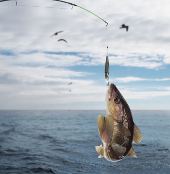 Mencas makšķerēt ir aizliegts!