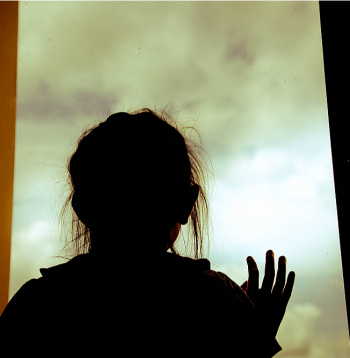 Interese par adopcijas dokumentu iegūšanu Dānijā ievērojami palielinājās pagājušā gada sākumā, kad sabiedriskais radio ziņoja par 10 nelegāliem gadījumiem no Indijas. Ir pagājis gads, bet adoptētajām personām dokumenti tā arī nav izsniegti.