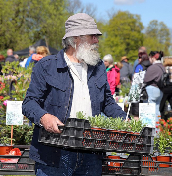Stādu parāde Siguldā.