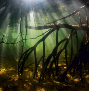 Zemūdens šķēršļu tuvumā parasti pulcējas daudz zivju. Makšķerēšana tādās vietās ir vilinoša, taču arī riskanta, jo ir daudz vietu, kur āķim aizķerties.