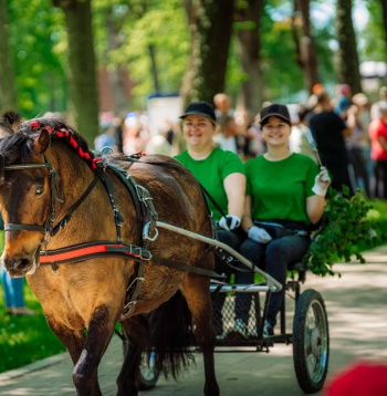 Vislatvijas zirgu parāde Balvos.