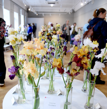 Izstāde "Īrisi 2025" Latvijas Dabas muzejā.