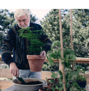 Seniors. ilustratīvs attēls. 