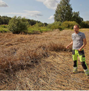 "Jaunkraukļu" laukos šosezon ir gan veldre, gan arī sakņu kakla puves slimība. "Citus gadus ir iespēja vākt slapjus pārtikas graudus vai vēlāk slapju lopbarību. Patlaban kuļam slapju lopbarību. Kamēr graudi nav sadīguši, tie ir jānokuļ. Visdārgākais grauds saimniekam ir tas, kas paliek uz lauka," saka Ābeļu pagasta zemnieku saimniecības "Jaunkraukļi" saimnieks Jānis Kudliška. 