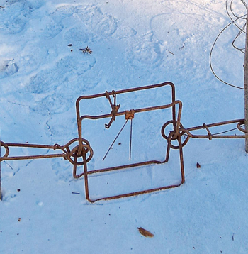 Bebru slazds, uzstādīts starp diviem mietiņiem.