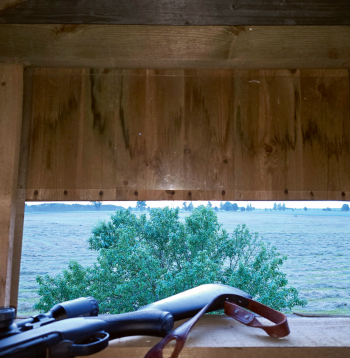 Lai var klusi tornī gaidīt medījumu.