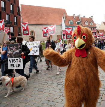 Dzīvnieku aizstāvji pieprasa aizliegt vistu turēšanu sprostos.