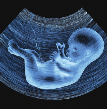 Embrija veidošanās joprojām ir noslēpumu pilns process, kas raisa sajūsmu un izbrīnu.