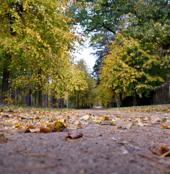 Rudens laiks. Brīvdabas muzejs.