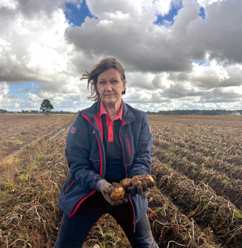 Aiga Kraukle: "Melnais zirdziņš būs šā gada kartupeļu ražas glabāšana. Iemesls ir atvērtās atvārsnītes, baltie punktiņi uz bumbuļiem. Kartupelim mute ir atvērta, pa to iekšā nokļūst arī visas baktērijas."