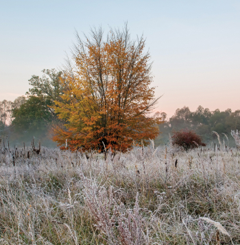 Trauslais veļu laiks...