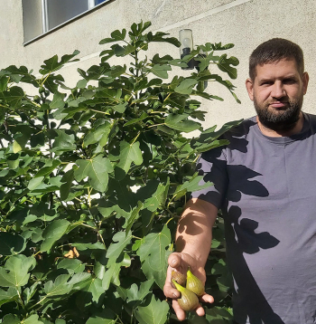 Reinis Dirnēns pie sava vīģeskoka.