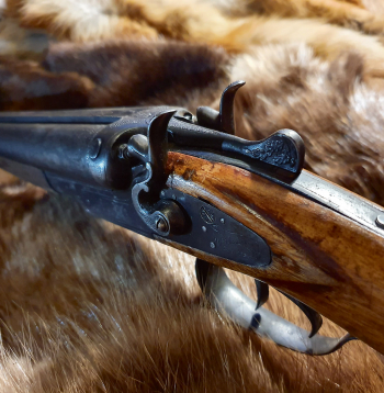 Redzamas koksnes novecošanās pazīmes un patina uz laides.