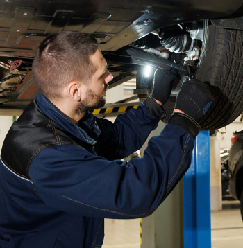 Visbiežāk kompetences novērtējumu kārto ēdināšanas un pārtikas ražošanas nozarēs, taču sertifikāti tiek izsniegti arī tūrisma pakalpojumu konsultanta, loģistikas darbinieka, mēbeļu galdnieka un automehāniķa profesijā.