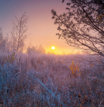 Burvīgs novembra rīts.