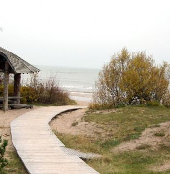 Pāvilostas pelēkā kāpa.