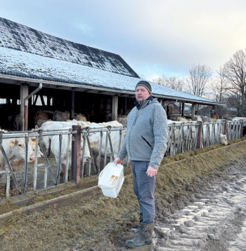 Kursīšu pagasta zemnieku saimniecības "Brūzilas AV" saimnieks Vilnis Štencelis un viņa dzīvesbiedre Agnese Arne–Štencele gaļas liellopu nozari ar diviem liellopiem sāka attīstīt 2015. gadā, dibinot SIA "Airene", kuras patiesā labuma guvēja ir Agnese. Vilnis uzsver, ka aizvadītajos gados abu – piena un gaļas lopu – saimniecību darbība ir cieši savijusies, tāpēc labākai atpazīstamībai reģistrēts zīmols "Brūzilu liellops". "Esmu uzkrājis zināmu pieredzi un labprāt ar to dalos. Ja kādam izdosies labāk nekā man, mācīšos. Vien tā varam attīstīties," teic saimnieks.