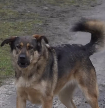 Ekrānuzņēmums no 4. studijas sižeta.