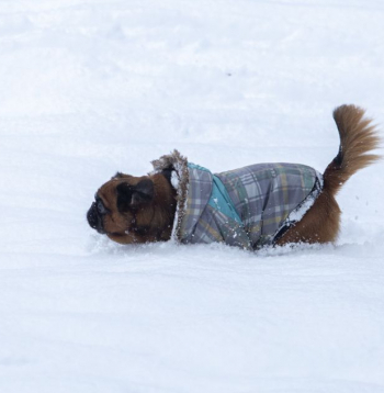 Ziema. Ilustratīvs attēls. 