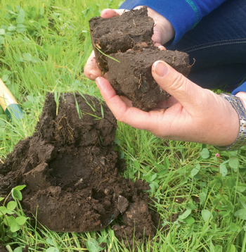 Tāds izskatās auglīgas augsnes profils.
