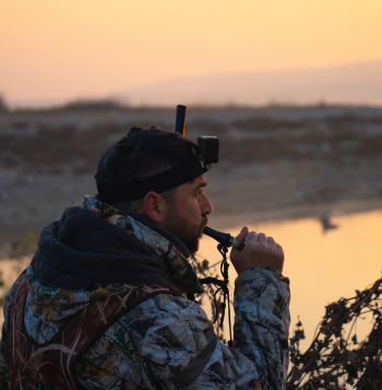 Latvijā ir atļauts pievilināt ūdensputnus, izmantojot putnu mulāžas un svilpes.