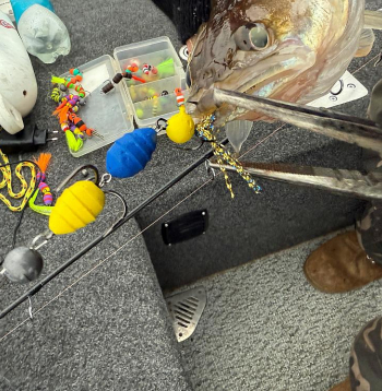 Ukrainas karoga krāsojums iezogas visās mānekļu grupās. Un pelnīti.