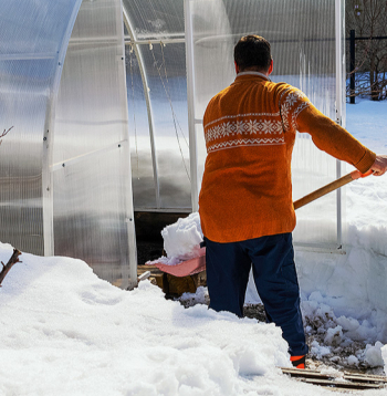 Ja siltumnīca ziemā ir tukša un tajā nekas nepārziemo, sniega nešana iekšā drīzāk ir fiziska nodarbe.