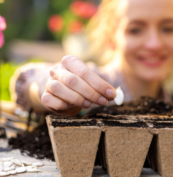 Ilustratīvs attēls.
