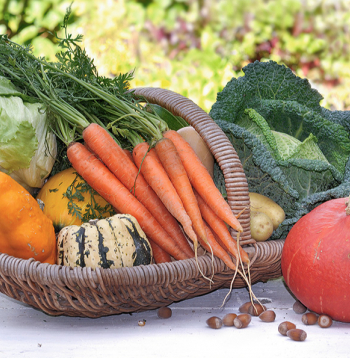 Dārzeņi. Ilustratīvs attēls.