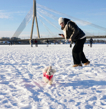 Cilvēki uz Daugavas ledus.