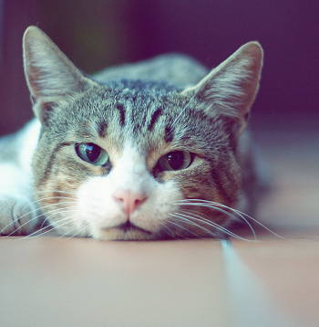 Ilustratīvs attēls.